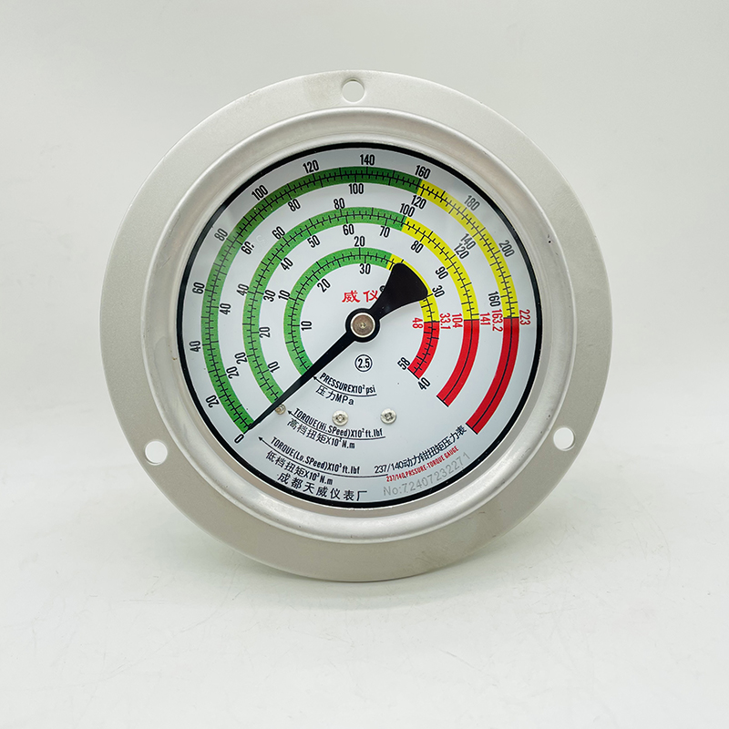 不锈钢轴向带边扭矩压力表 YNJ-100BF-ZT.jpg