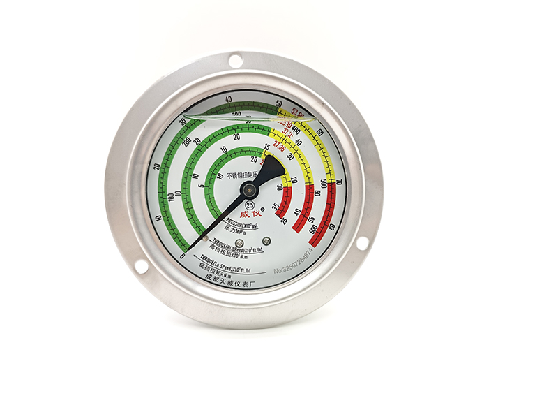 不锈钢抗震轴向带边扭矩压力表 YNNJ-100BF-ZT.jpg
